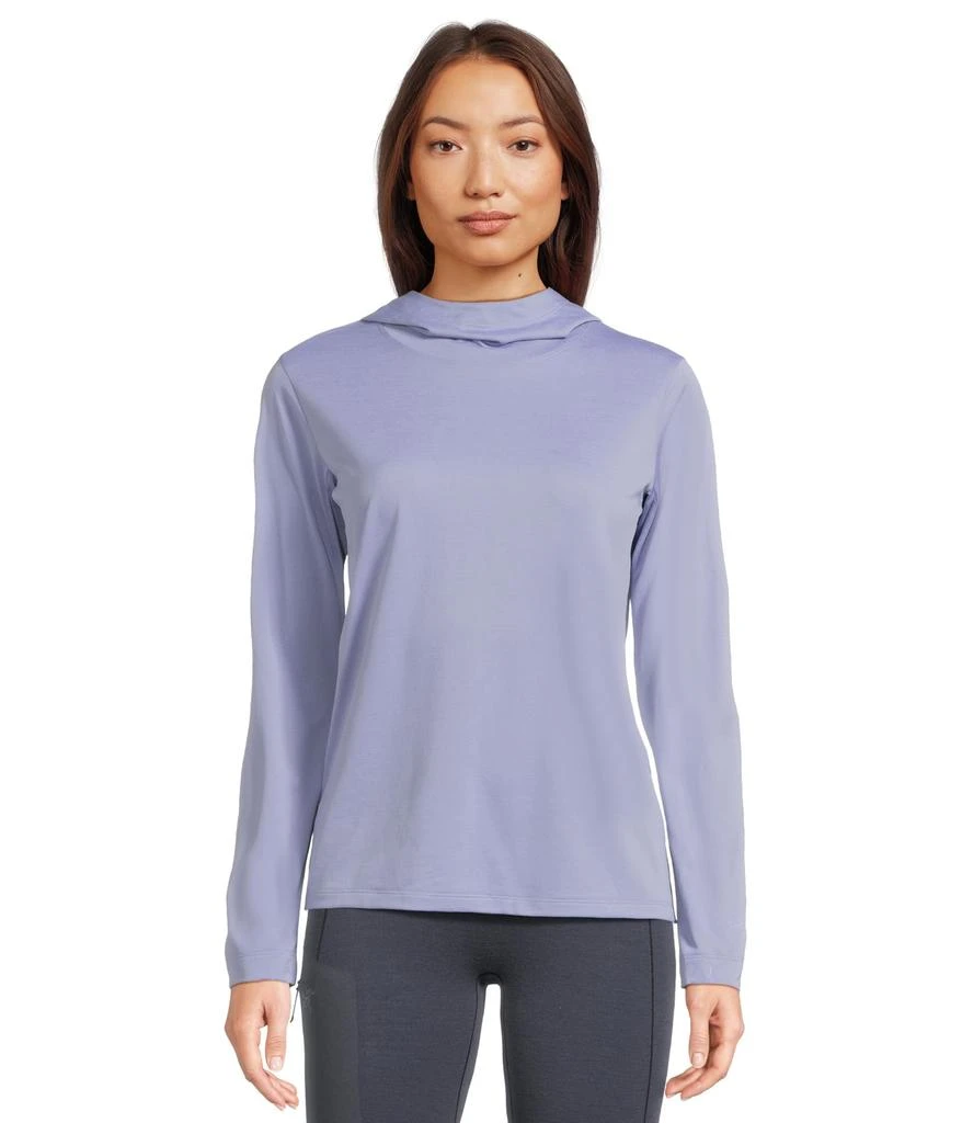 Arc'teryx Taema Hoodie 1