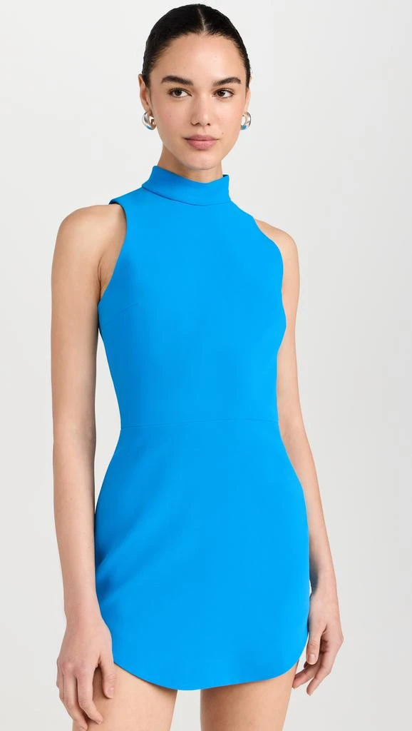Amanda Uprichard Marshall Dress 1