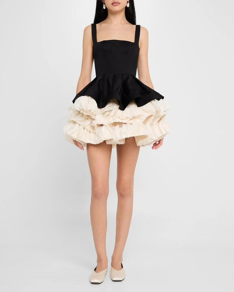 BRONX AND BANCO Catalina Ruffle Fit-&-Flare Mini Dress 2