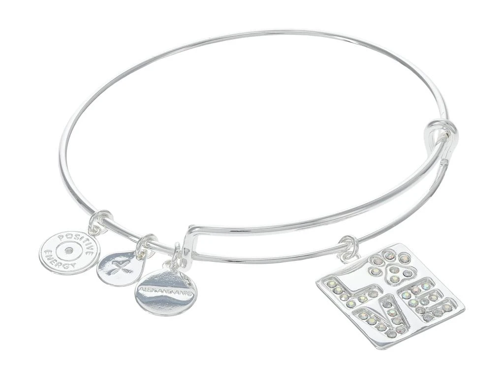 Alex and Ani Love Pave Paw Print Bracelet 1