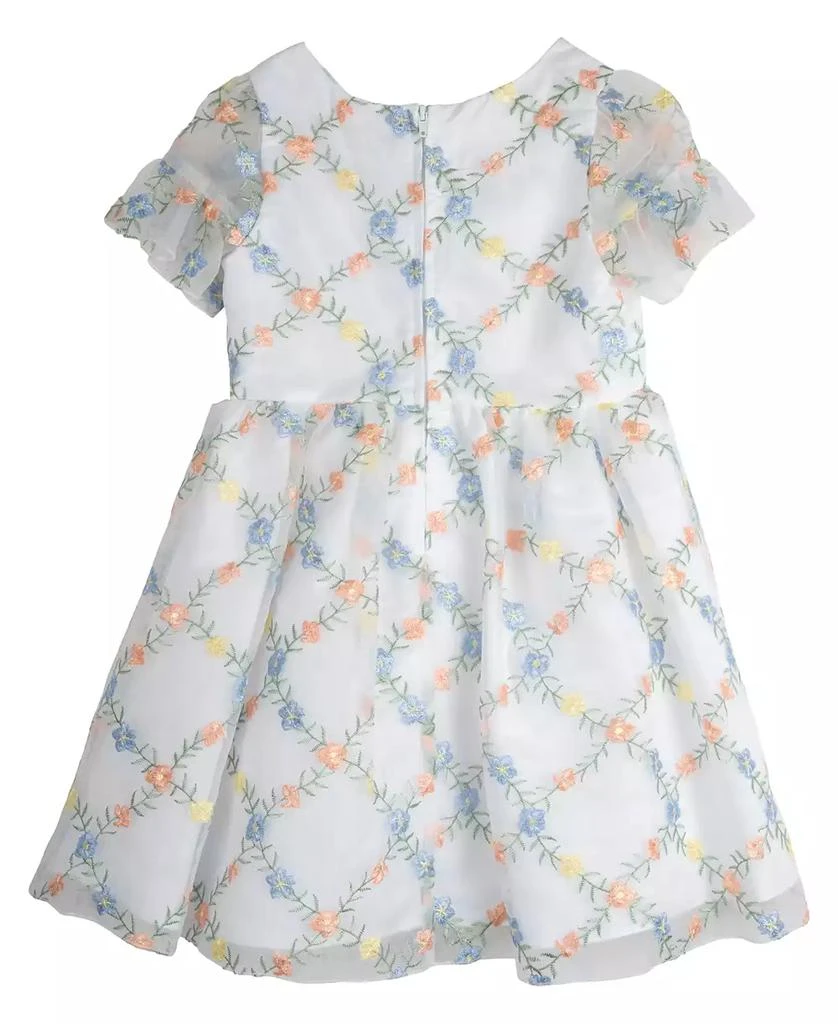Rare Editions Toddler Girls 3D Floral Embroidered Social Dress 5