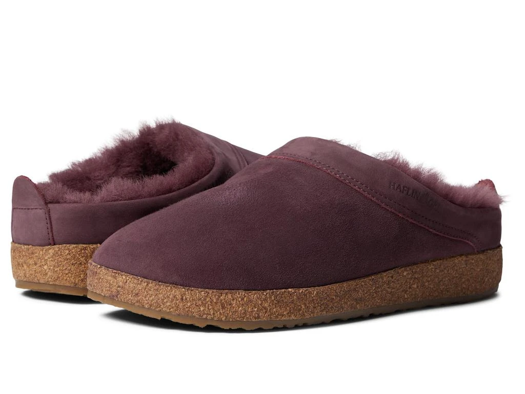 Haflinger Snowbird 1