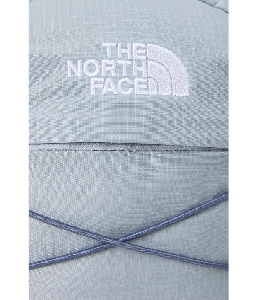 The North Face Borealis Mini Backpack 4