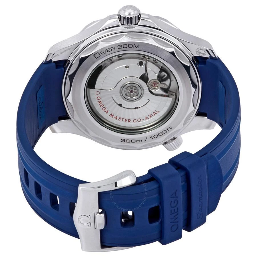Omega Seamaster Automatic Grey Dial Men's Watch 210.32.42.20.06.001 3