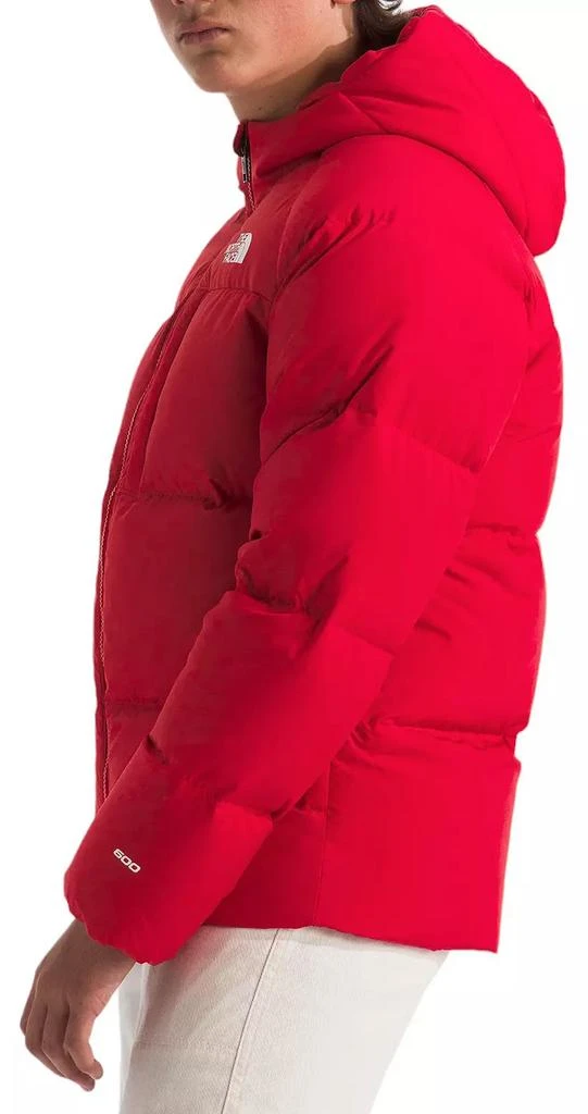 The North Face The North Face Boys' North Down Hooded Jacket 3