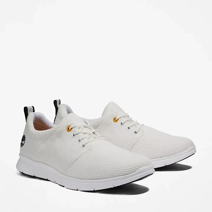 Timberland Killington Oxford Shoe for Men in White 4