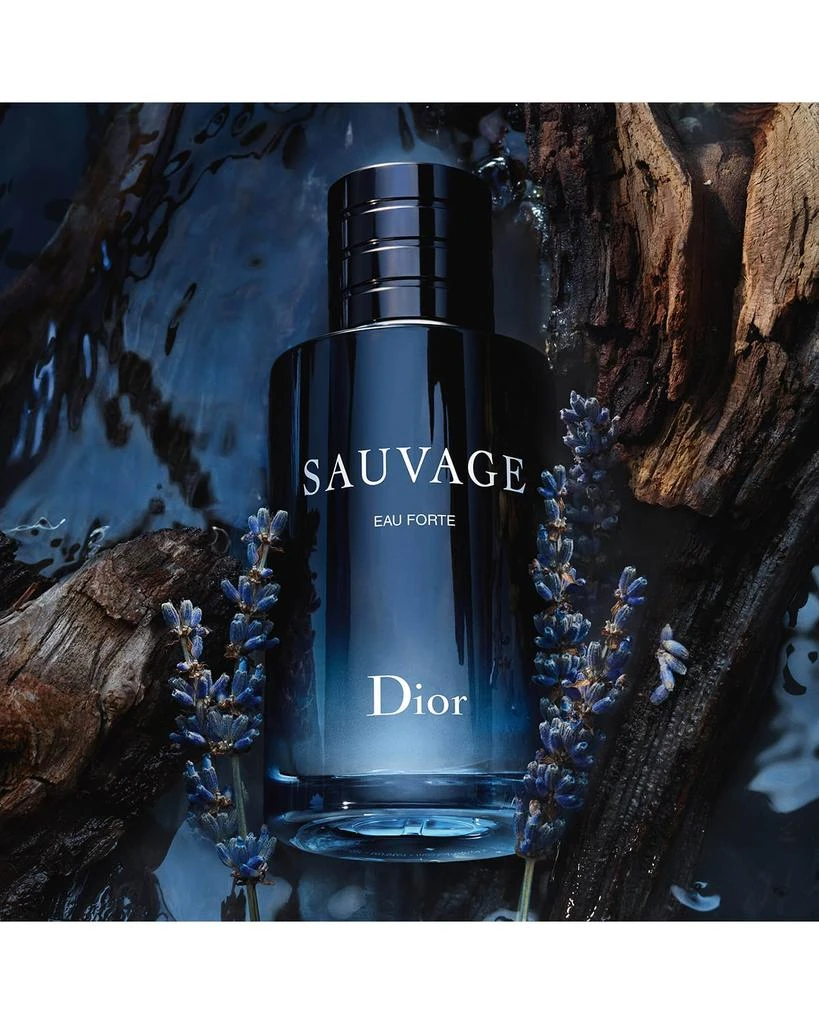 Dior Dior Sauvage Eau Forte Parfum 3