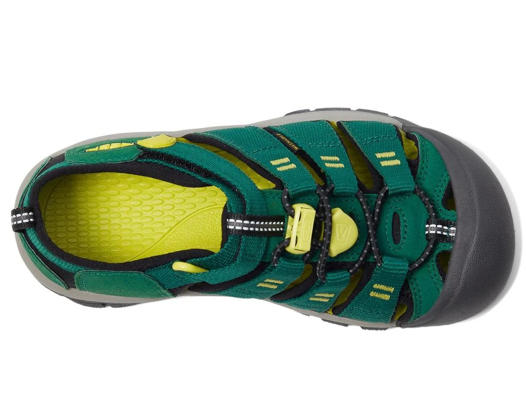 KEEN Kids Newport H2 (Toddler/Little Kid/Big Kid) 2