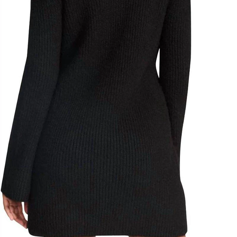 BB Dakota Abbie Turtleneck Sweater Dress 2