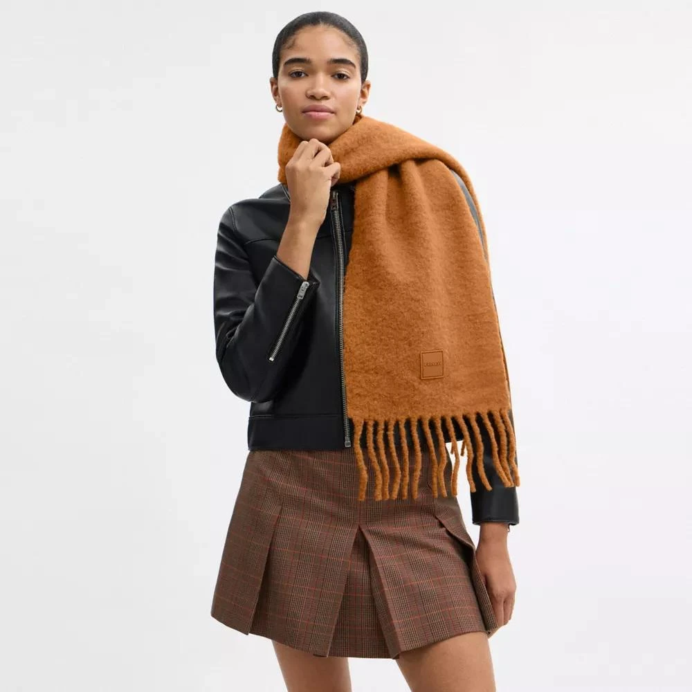 Coach Muffler With Rubber Patch 2