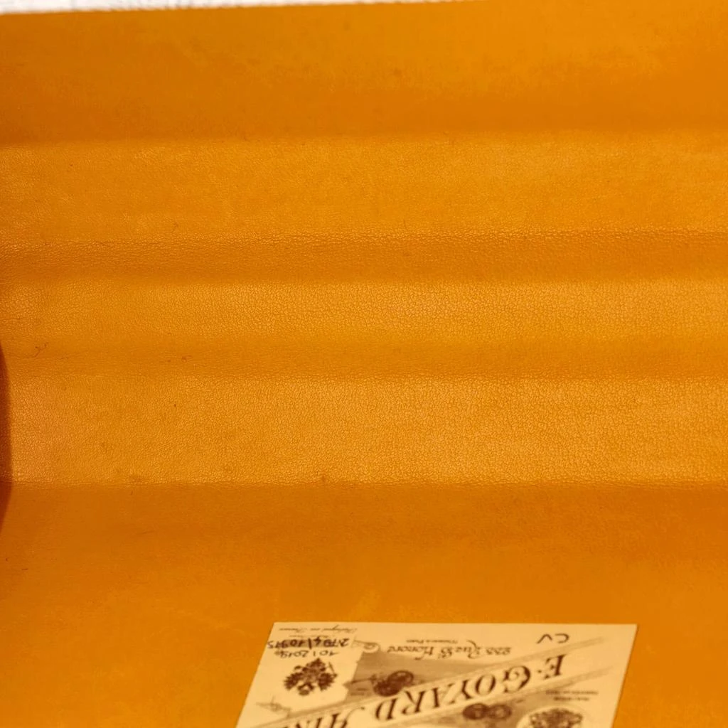 Goyard Minaudiere Bag Coated Canvas 5