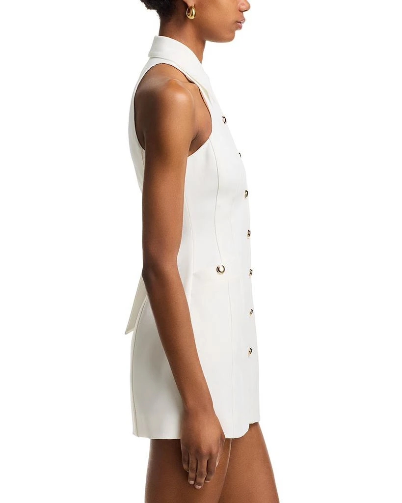 Danielle Guizio Isla Dress 5