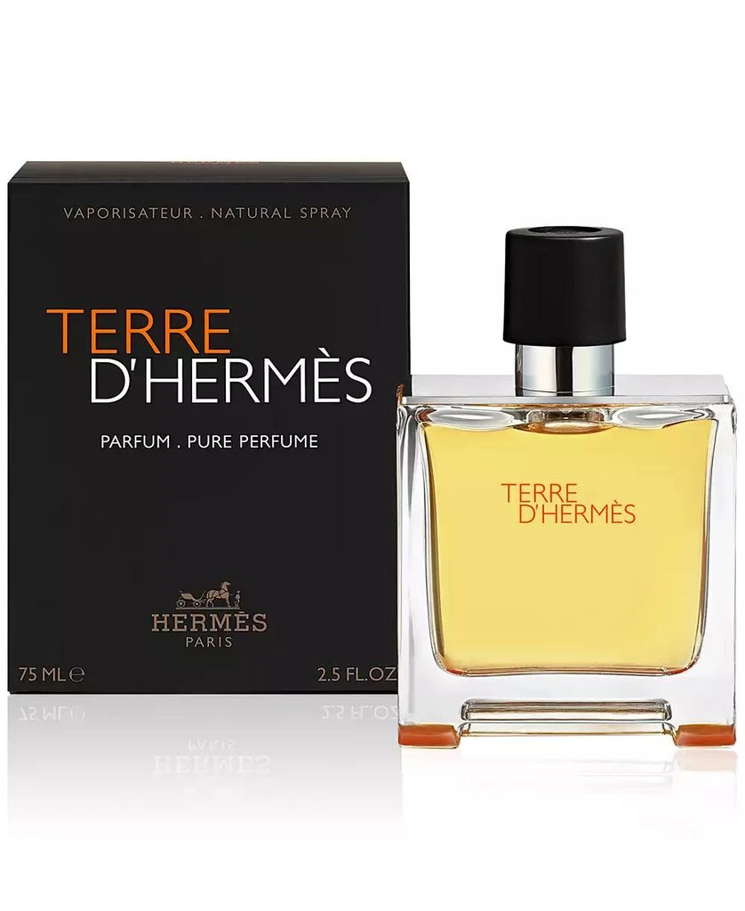 Hermes Terre d'Hermès Pure Perfume Spray, 2.5 oz. 4