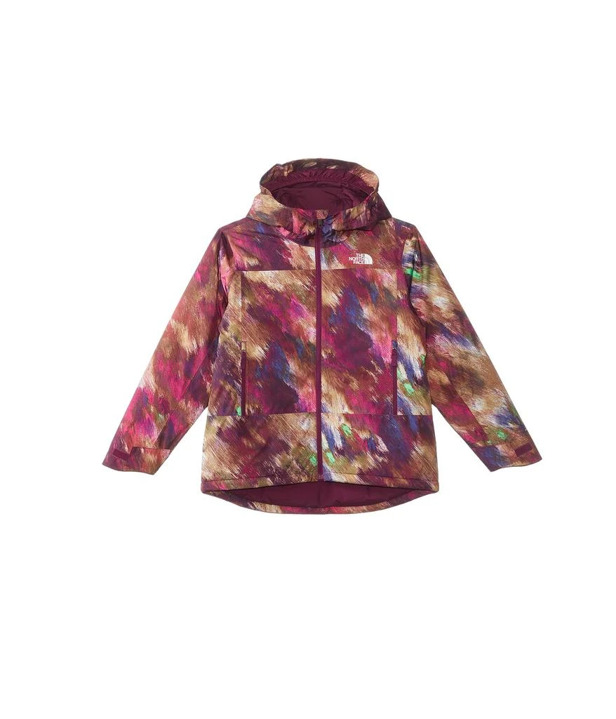 The North Face Kids Freedom Insulated Jacket (Little Kids/Big Kids) 1