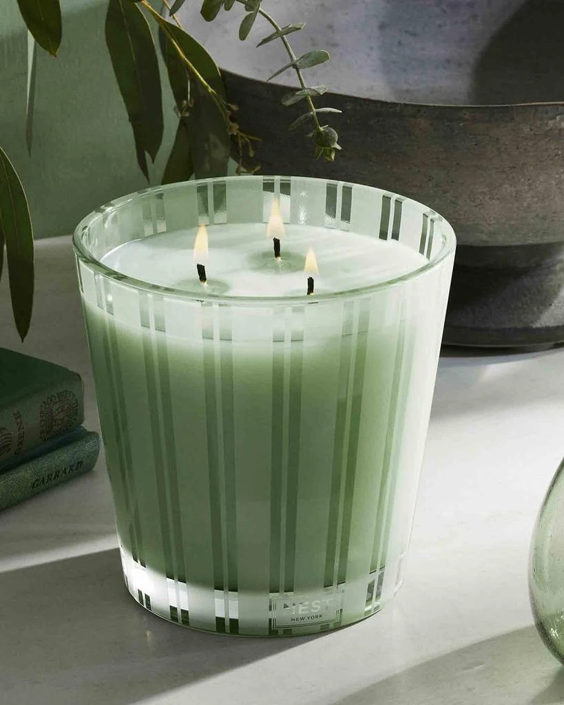 NEST New York 21.2 oz. Wild Mint & Eucalyptus 3-Wick Candle 4
