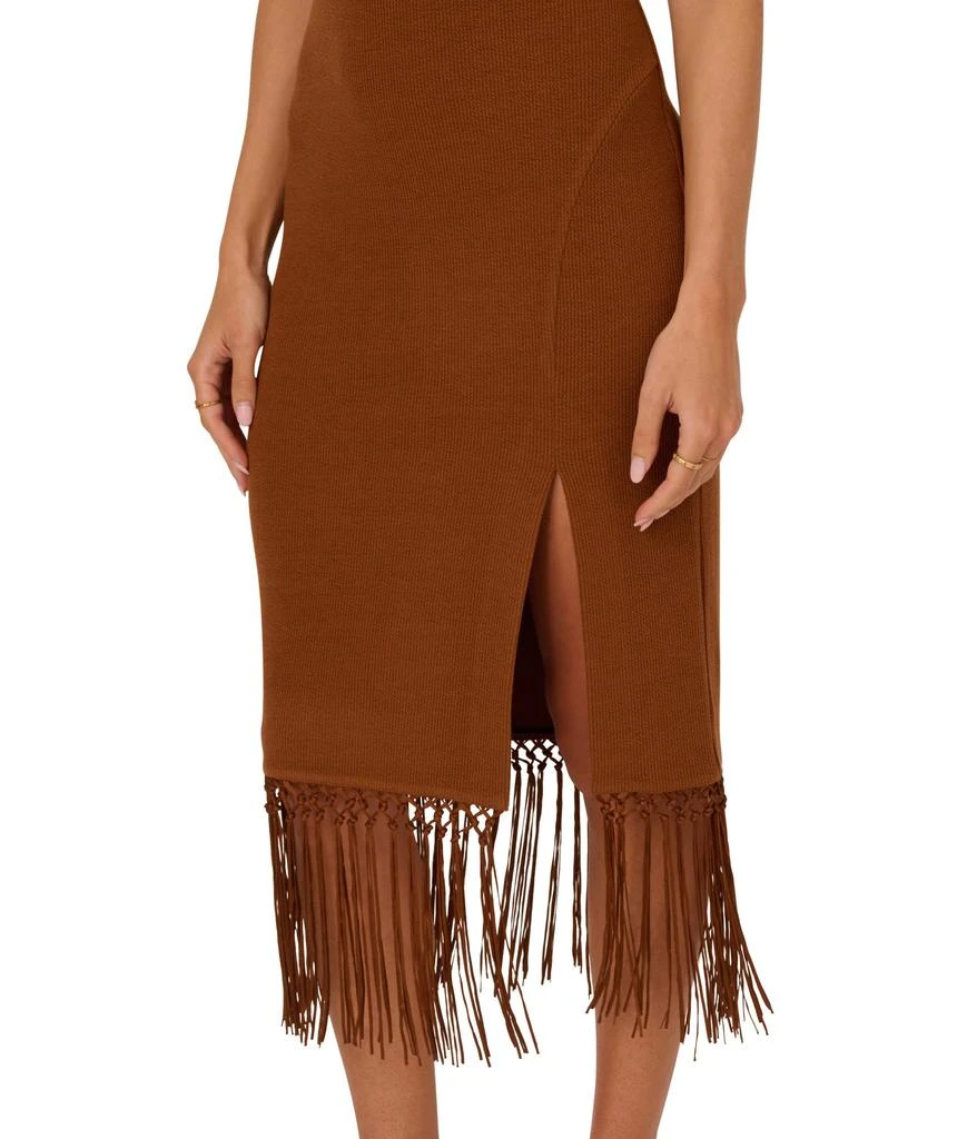 Adrianna Papell Knit Fringe Trim Midi Dress 4