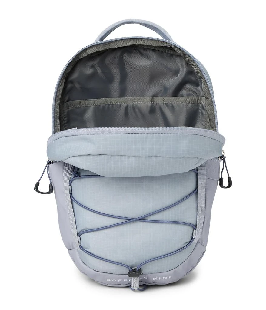 The North Face Borealis Mini Backpack 3