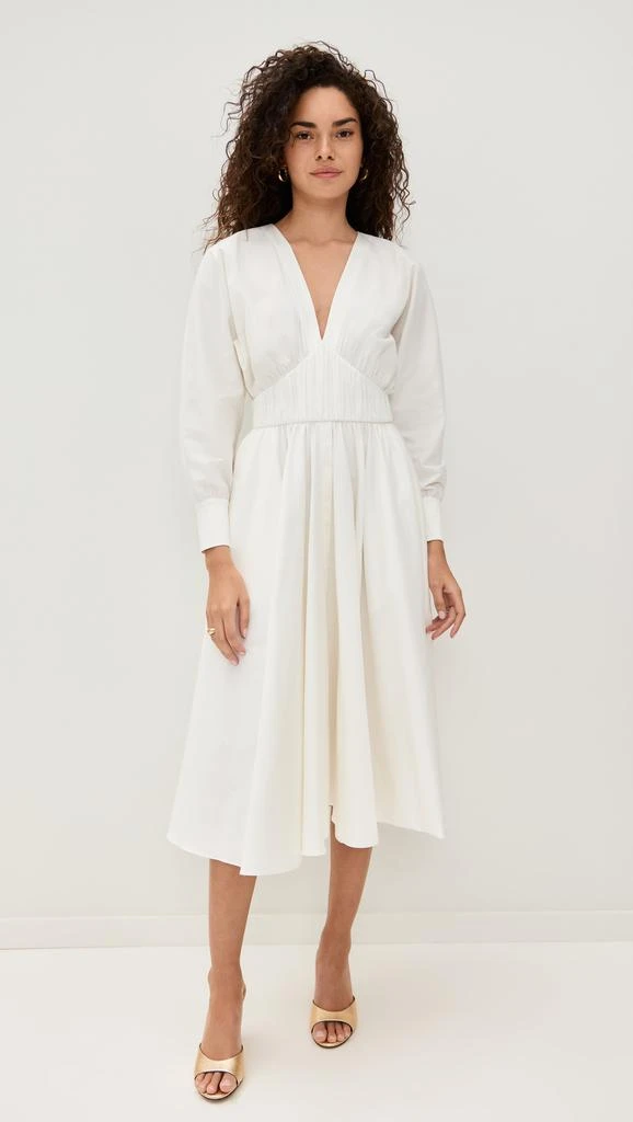 Alexis Viro Dress 1