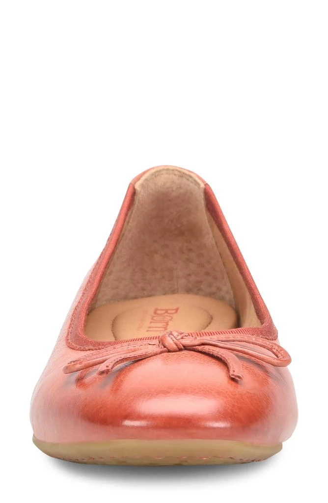 Børn Brin Ballet Flat 4