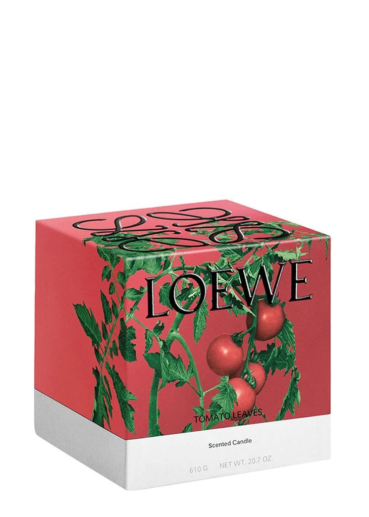 Loewe Tomato Leaves Candle - Medium 610g 3