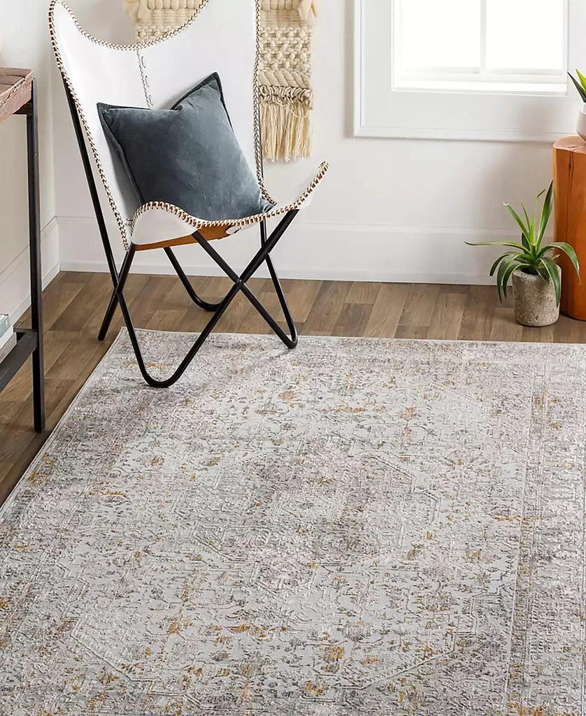 Surya Carmel CRL-2317 2'7x4' Area Rug 4