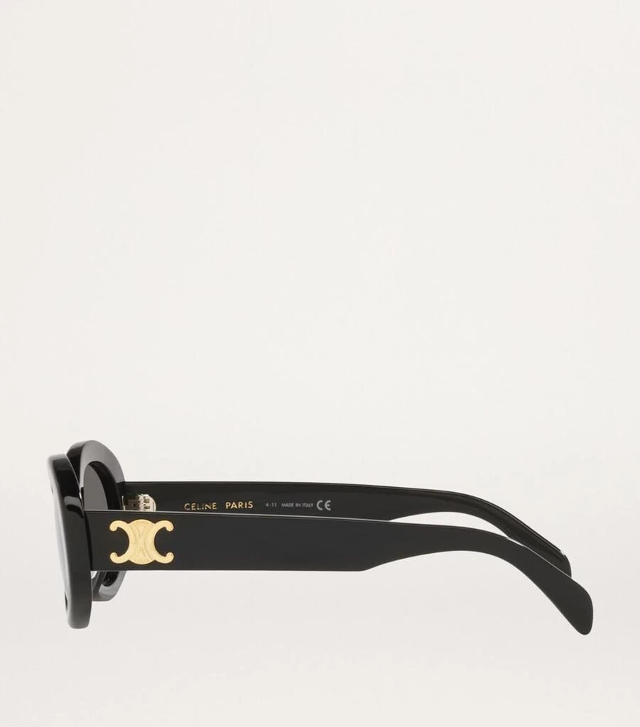Celine Acetate 0CL000312 Sunglasses 3