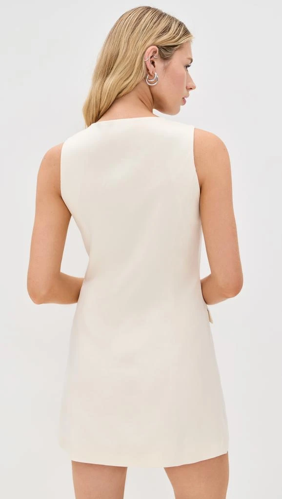 Paige Wells Dress 2