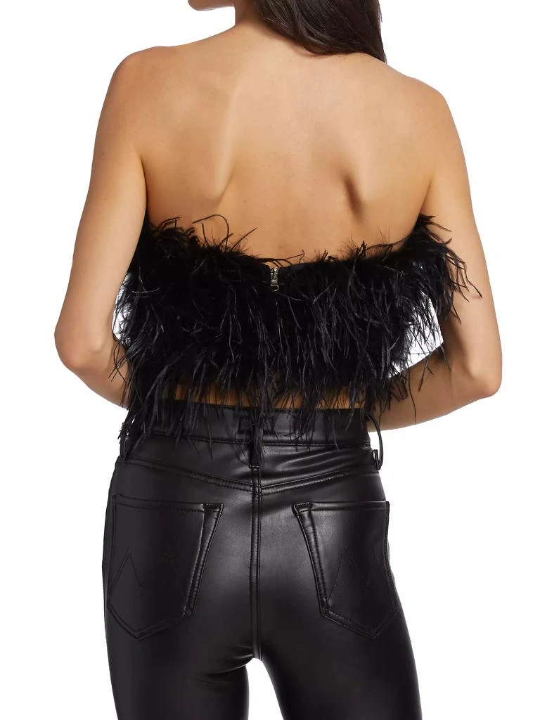 LaMarque Zaina Feather Bustier Top 5