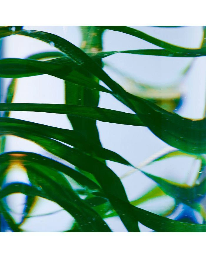 BYREDO Vetyver Hand Lotion 15.2 oz. 2