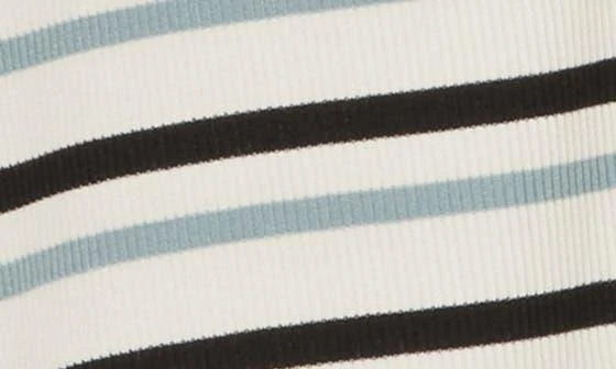 Sanctuary Stripe Long Sleeve Henley T-Shirt 4