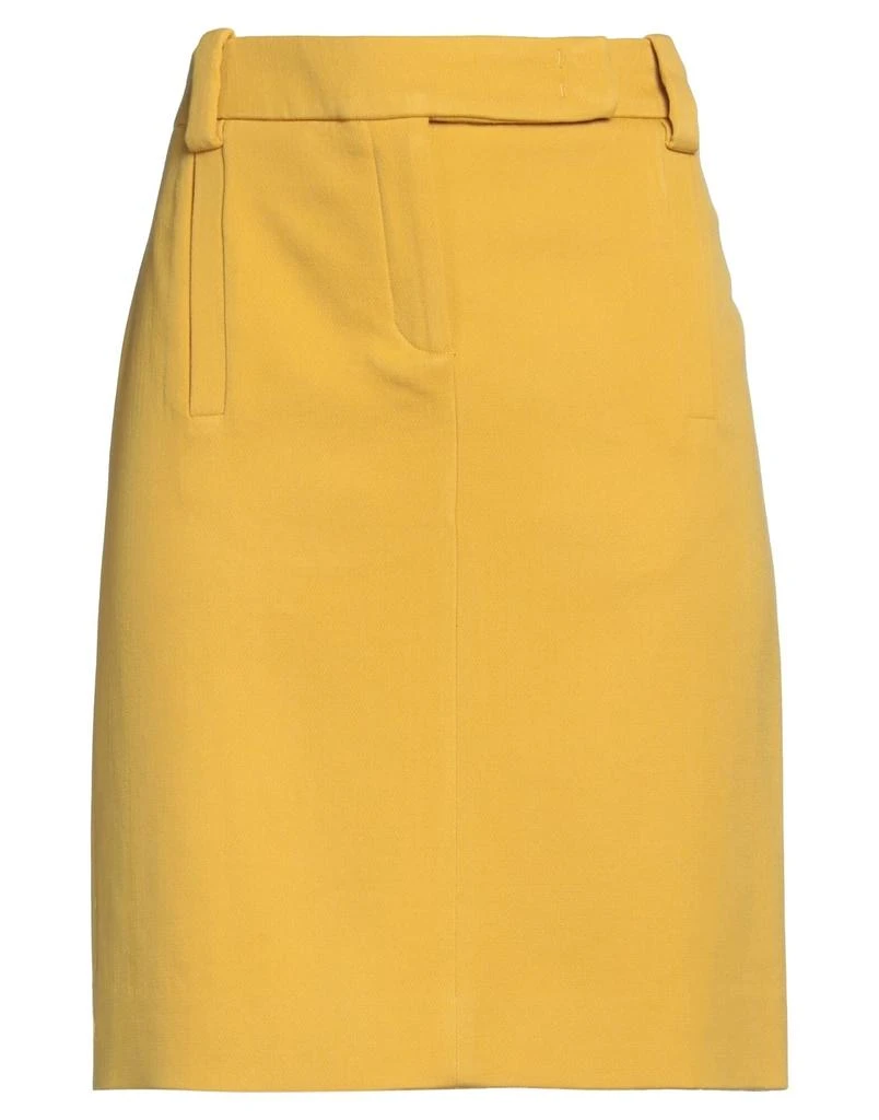 BCBG Mini skirt 1