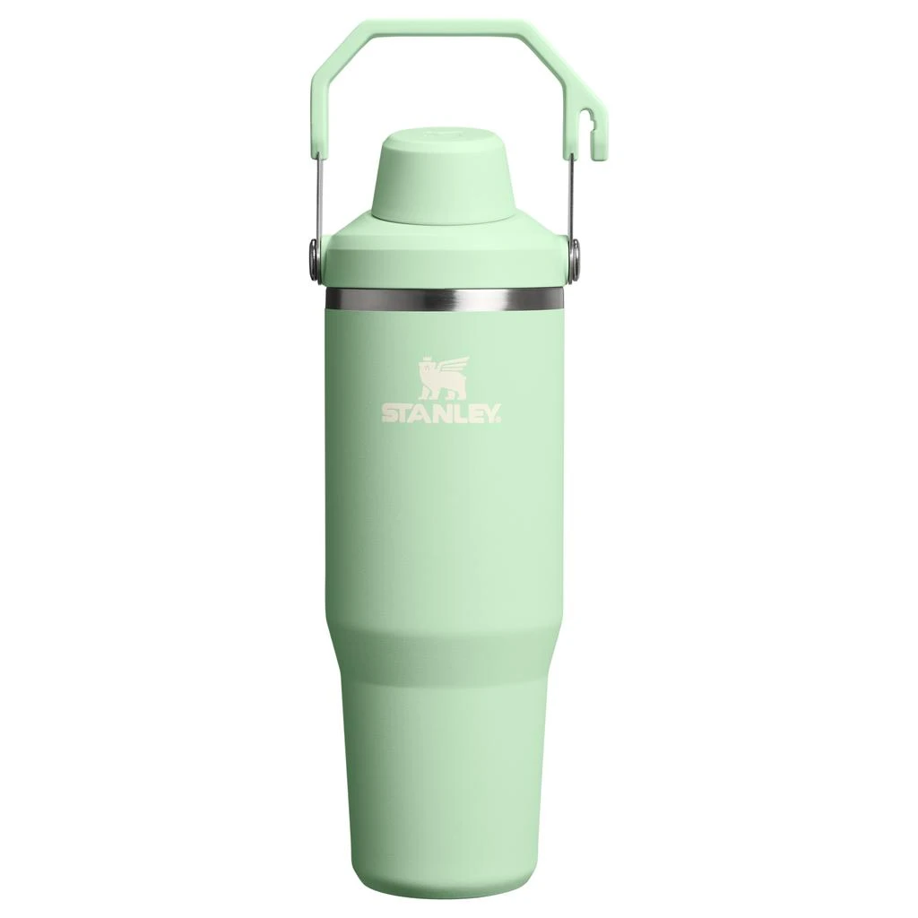Stanley The IceFlow™ Tumbler with Fast Flow Lid | 30 OZ 1
