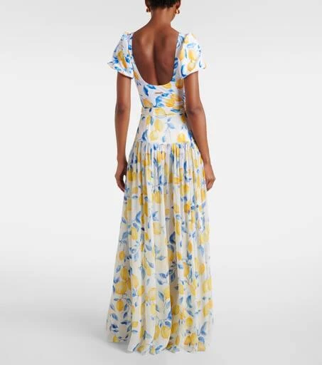 Alexandra Miro Jamie sheer maxi skirt 3