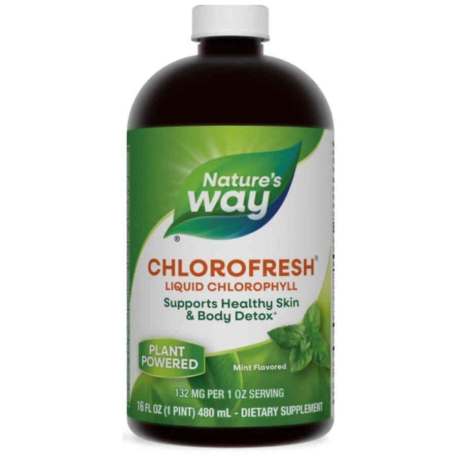Nature's Way Chlorofresh Liquid Chlorophyll Mint 1
