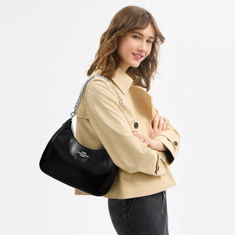 Coach Teri Hobo Bag With Pouch 3