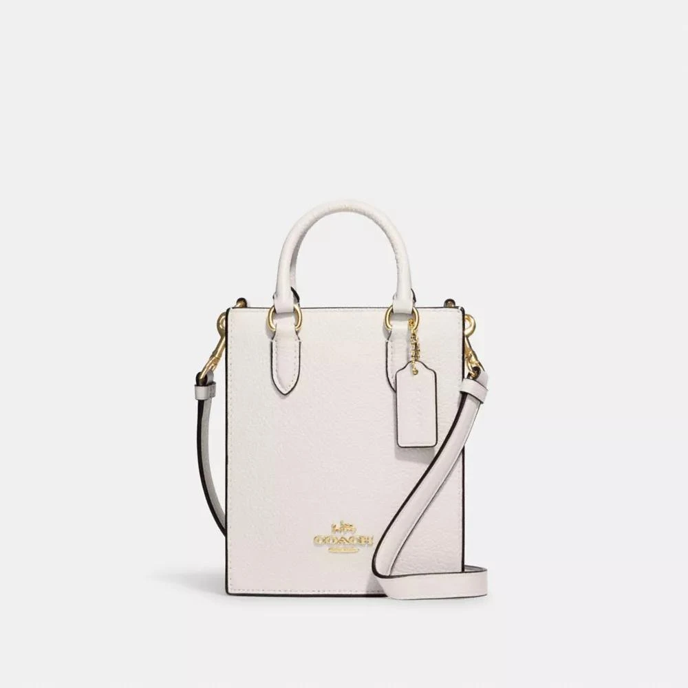 Coach North South Mini Tote 1