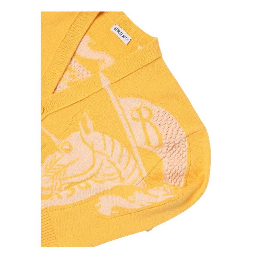 Equestrian Knight Cashmere Sweater – On Sale Now with Up to 56