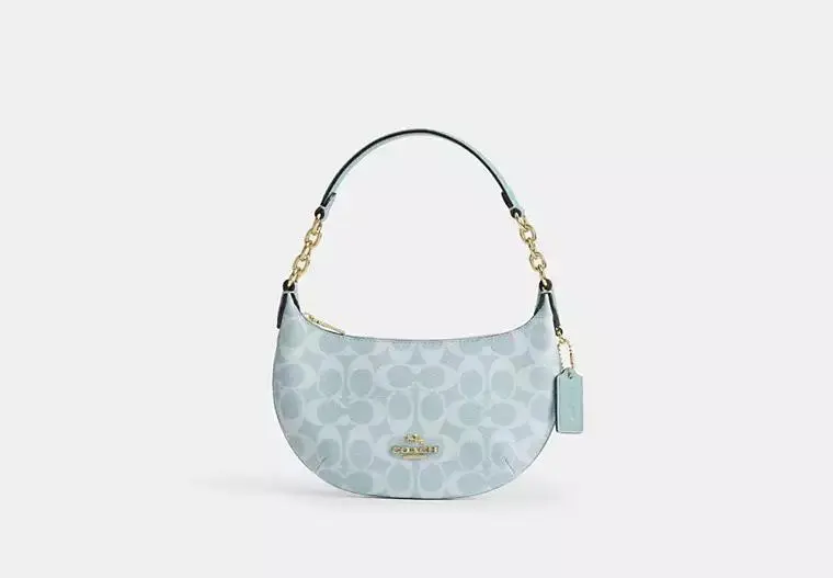 Coach Mini Payton Bag In Signature Canvas