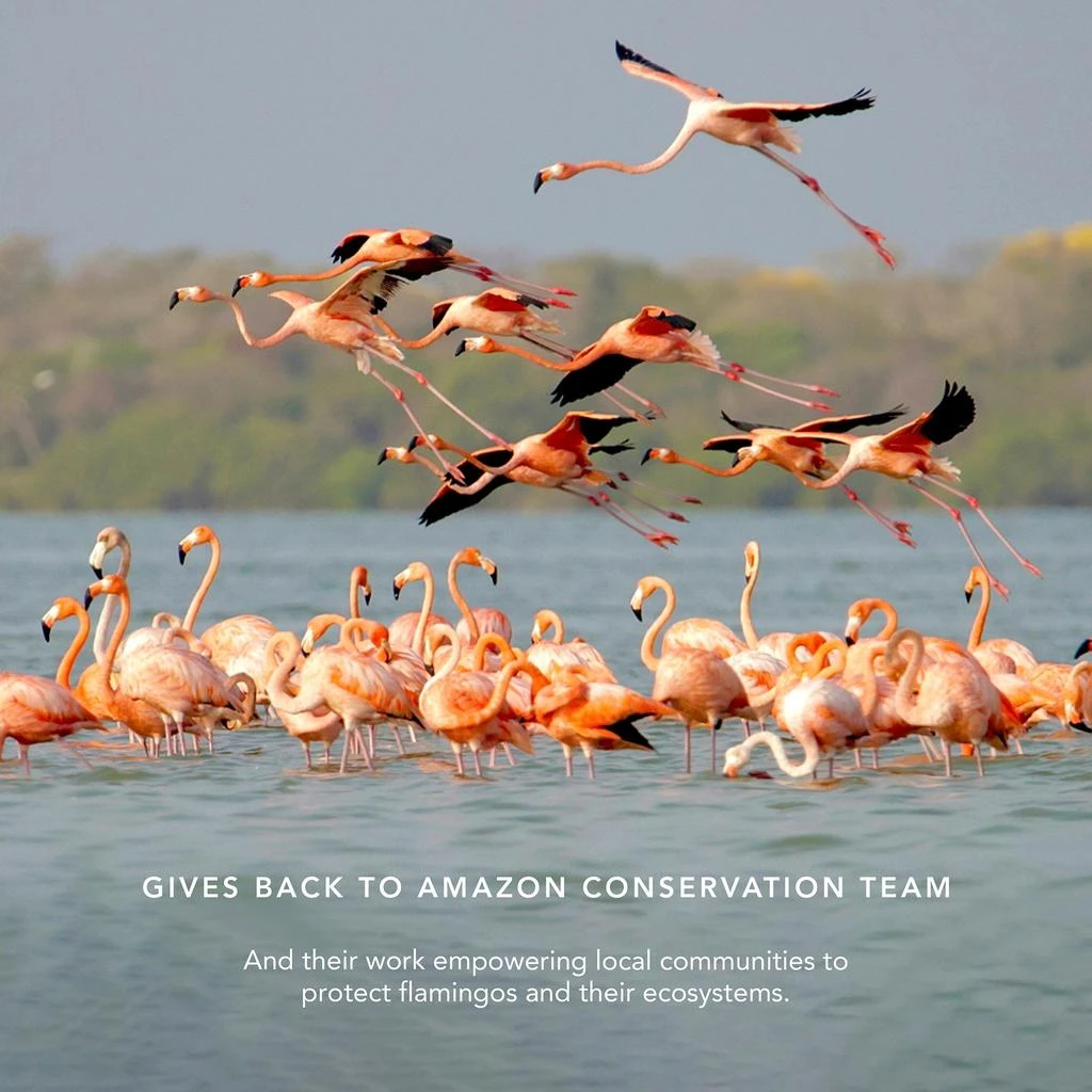 Chantecaille Chantecaille  Flamingo Collection - Dawn Trio 5