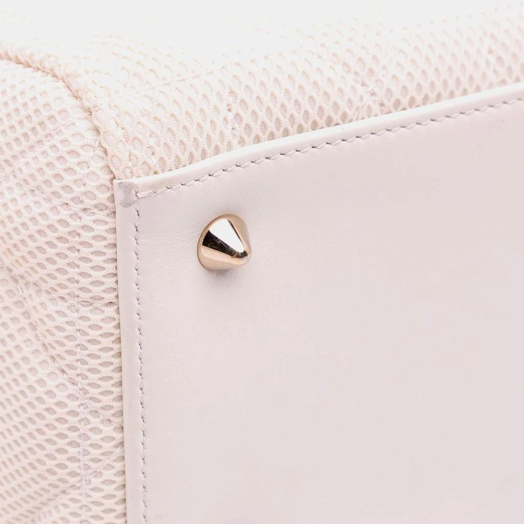 Dior Dior Pink Medium Mesh Cannage Lady Dior 12