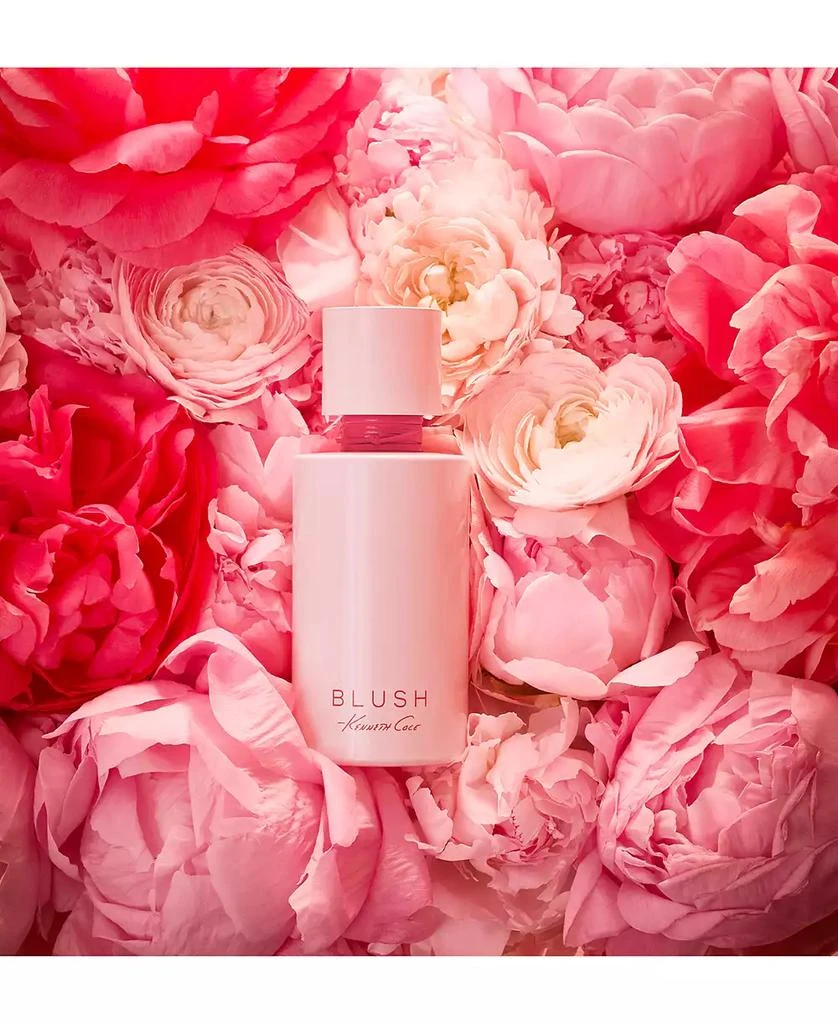 Kenneth Cole Women
s Blush Eau De Parfum, 3.4 fl oz 2