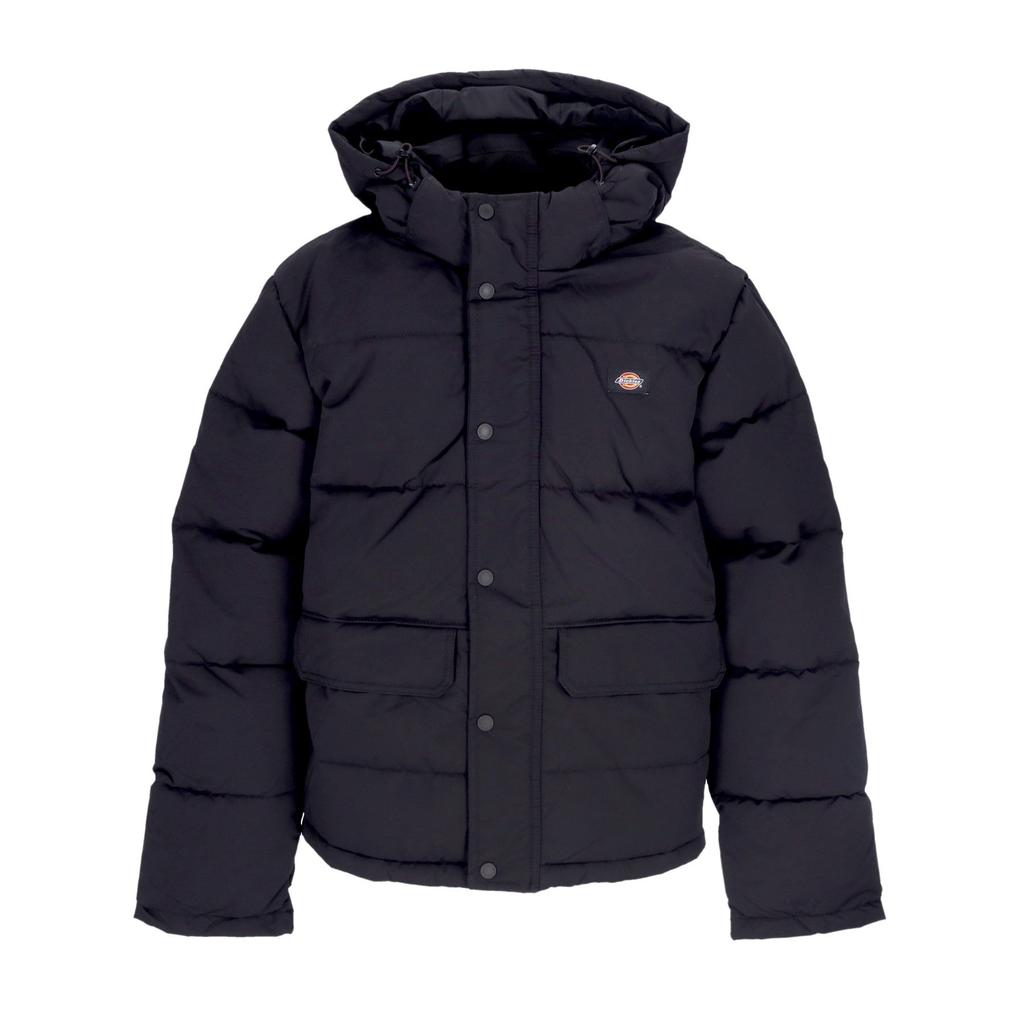 Dickies Glacier View Puffer Men's Down Jacket Black