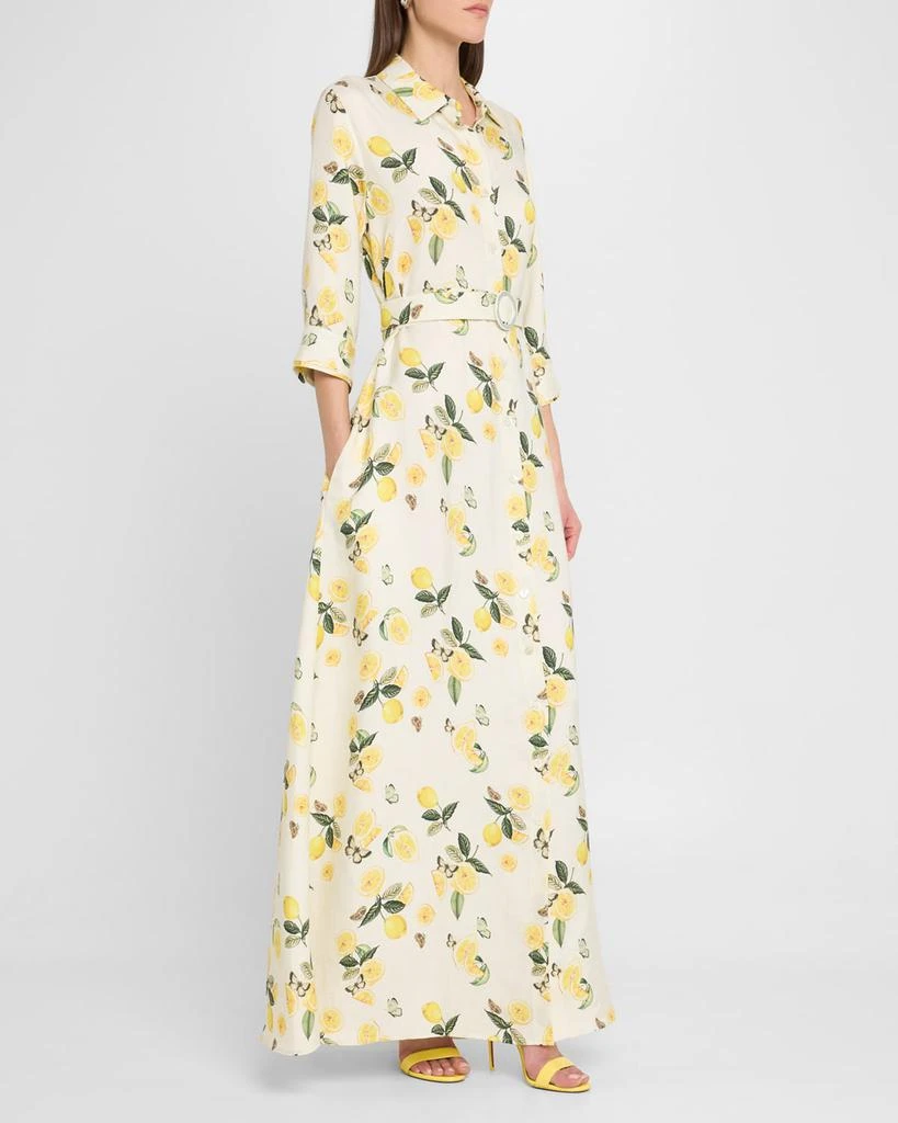Evi Grintela Valerie Belted Lemon-Print Maxi Shirtdress 4