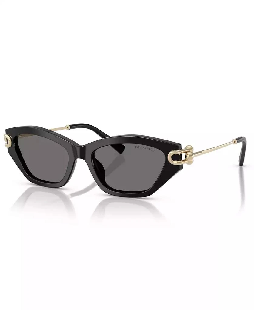 Tiffany & Co. Women's Polarized Sunglasses, TF4231U 1