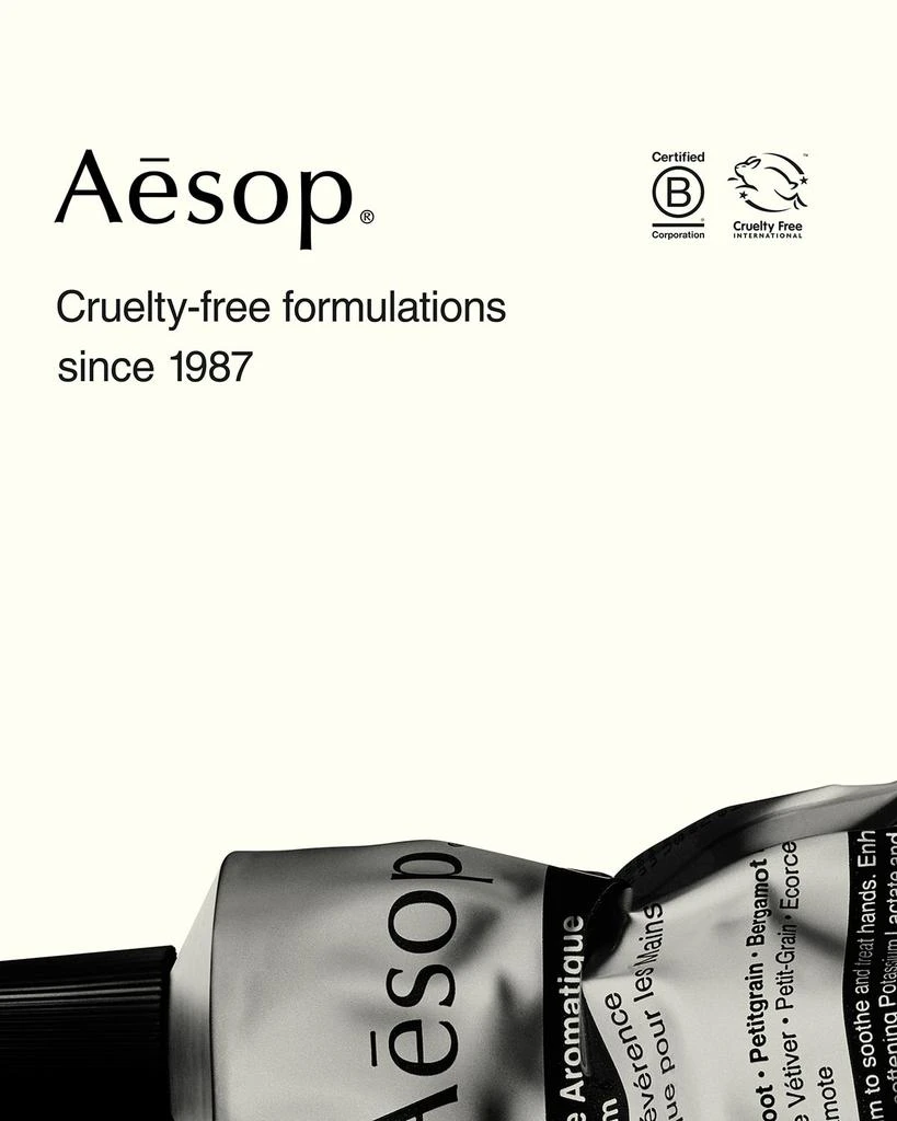 Aesop Purifying Facial Exfoliant Paste, 2.5 oz./ 75 mL 4