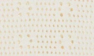 Tahari Crochet Polo Sweater 4