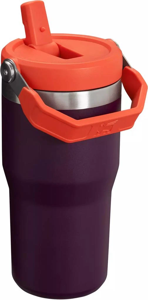 Stanley Stanley 20 Oz. IceFlow Flip Straw Tumbler 2