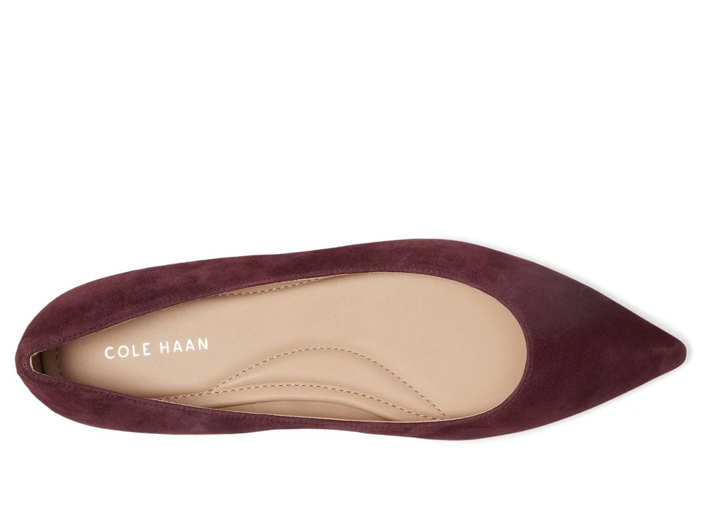 Cole Haan Grand Ambition 2.0 Angelina Ballet Flats 2