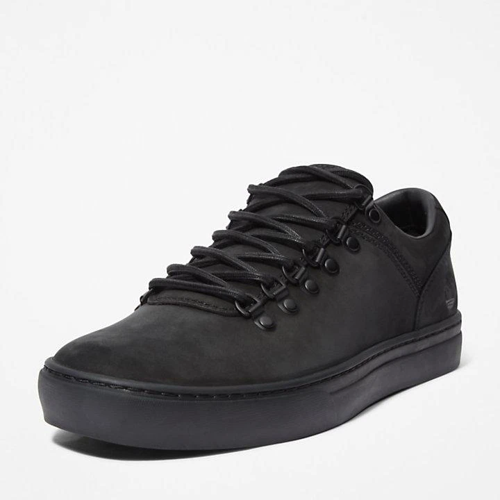 Timberland Adventure 2.0 Cupsole Alpine Sneaker for Men in Black 9