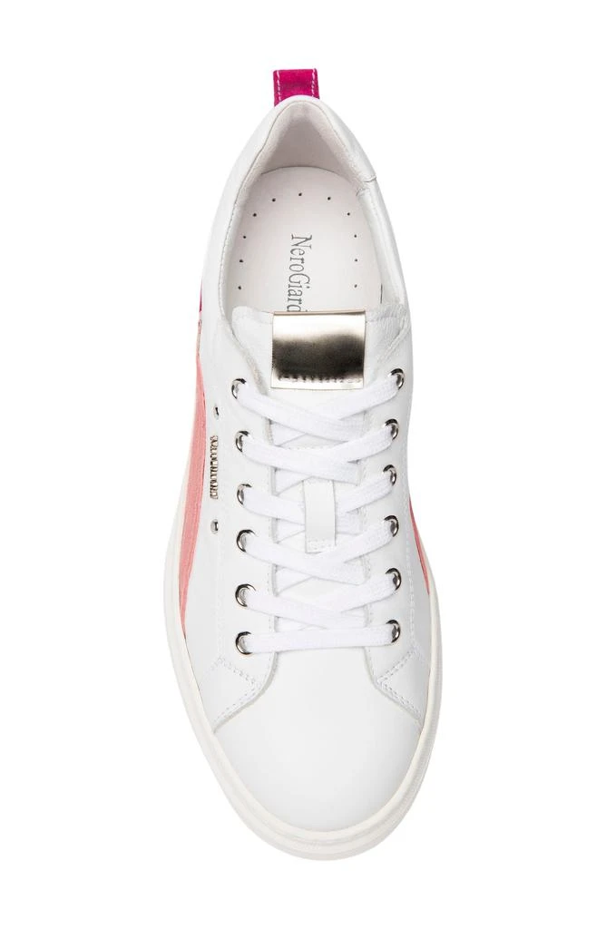 NeroGiardini Retro Colorblock Sneaker 4